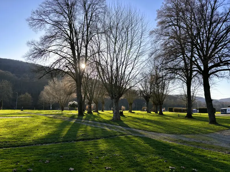 Große Bäume werfen lange Schatten über die Rasenfläche des Campingplatzes