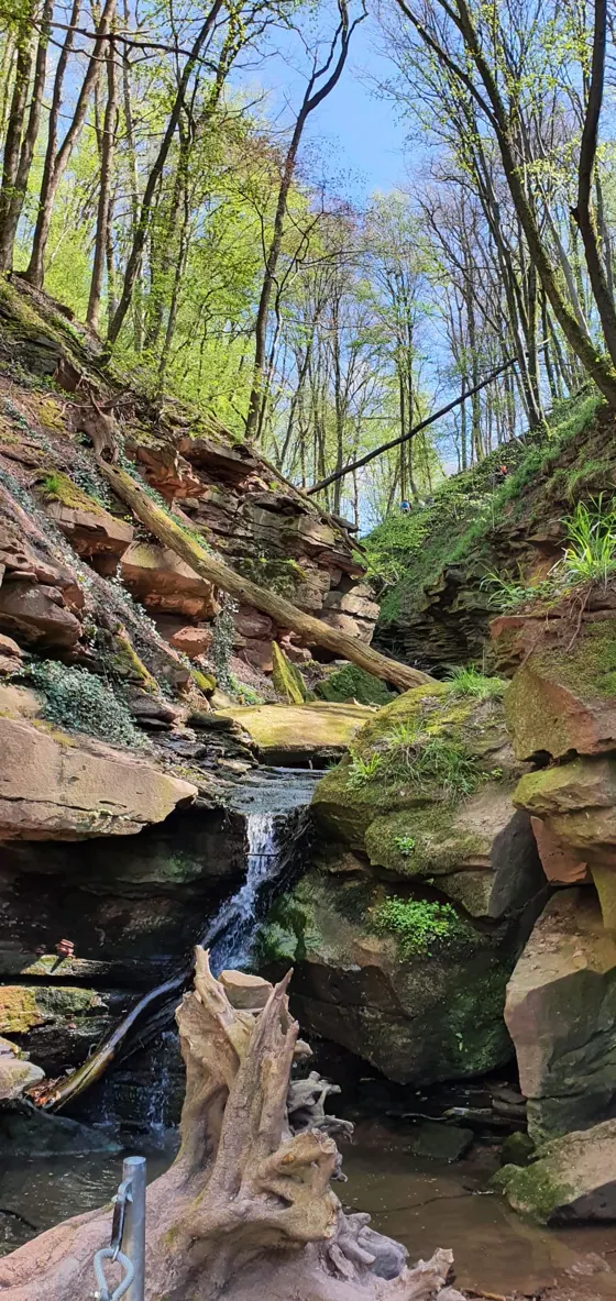 Kleiner Wasserfall zwischen rötlichen, moosbewachsenen Sandsteinfelsen in der Margaretenschlucht, darüber hohe Laubbäume und blauer Himmel